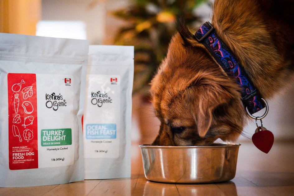 Compare dog food ingredients side by side Clearance