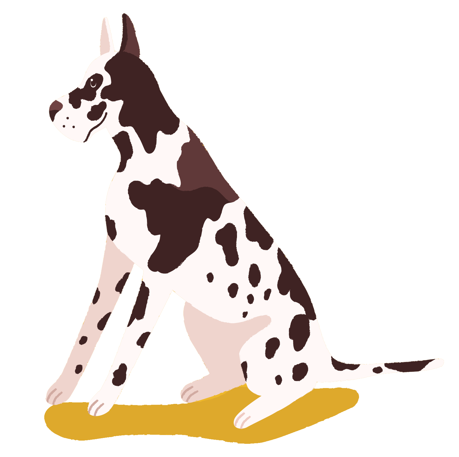 dog